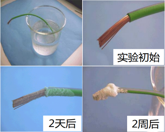 1657281859205218.png image.png